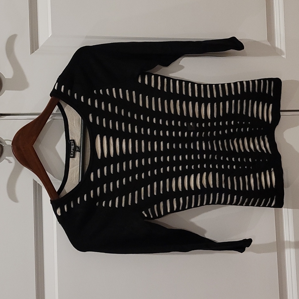Express fitted sweater